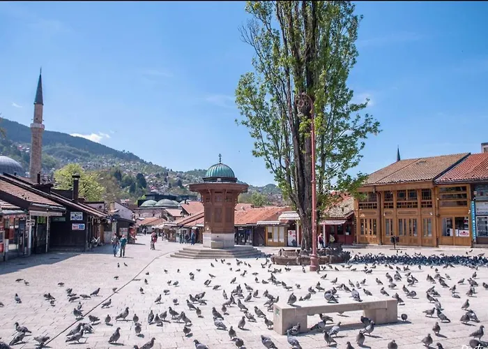 Apartman Hadi